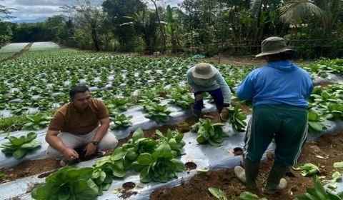 Rumah Tani Bantu Petani Terapkan Pertanian Inovatif dan Berkelanjutan